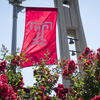 Spring Flowers with Temple T flag and Bell Tower in background